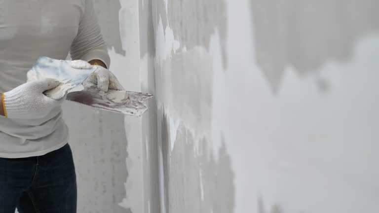 Best Drywall Removal and Disposal  in USA